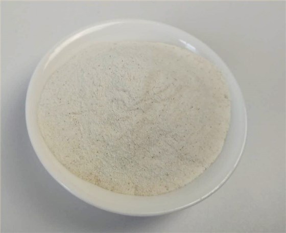 青岛特斯特百草香烤肠调味料助力客户新产品研发
