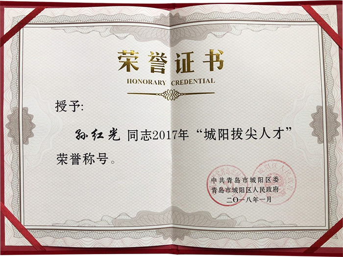 青岛特斯特科技股份有限公司董事长孙红光先生获得 “城阳拔尖人才”的荣誉