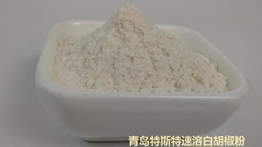 青岛特斯特复合调味料新品速溶白胡椒粉简介