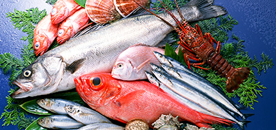 鱼、虾、壳类等各种海产品
