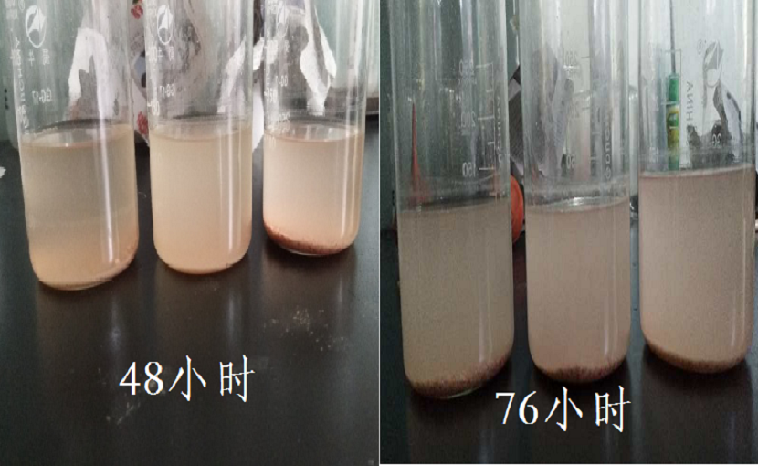 酱卤产品护色