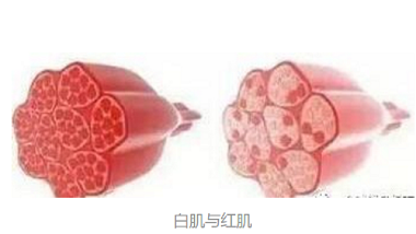 青岛特斯特—食品加工配料解决方案提供者，不一样的体验